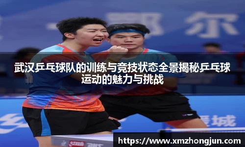 武汉乒乓球队的训练与竞技状态全景揭秘乒乓球运动的魅力与挑战