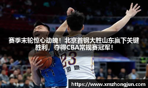 NG体育官网