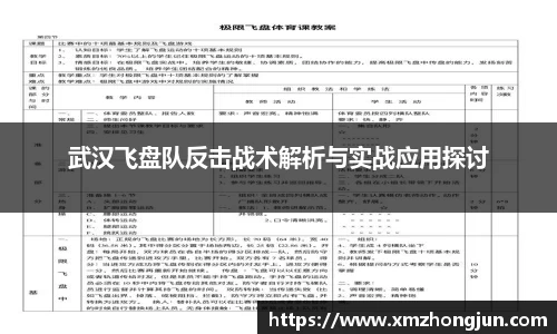 武汉飞盘队反击战术解析与实战应用探讨