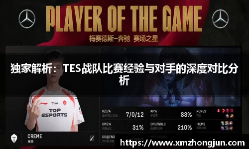 独家解析：TES战队比赛经验与对手的深度对比分析