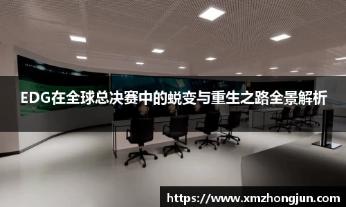 NG体育