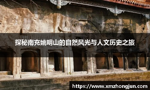 NG体育官网