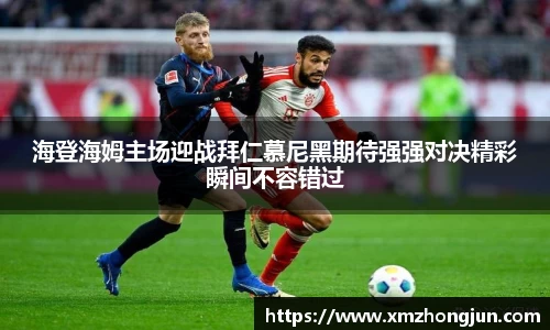NG体育官网