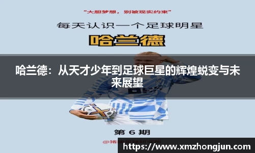 NG体育官网