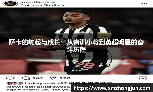 NG体育官网