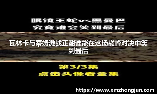 瓦林卡与蒂姆激战正酣谁能在这场巅峰对决中笑到最后